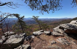 Tract A Mountain Ash Way, Sevierville, TN 37876