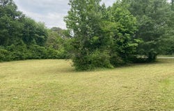 0 NE 12TH Ave, Jasper, AL 35504
