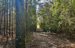 Watts Ln NW, Brookhaven, MS 39601