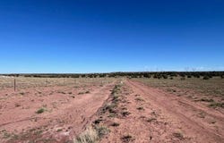 005 N9119, Concho, AZ 85924