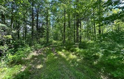 Oak Leaf Road, Kerrick, MN 55756