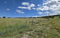 CR 8624, Concho, AZ 85924