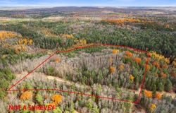 V/L Glenrose Drive, Wolverine, MI 49799