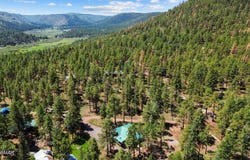 529 County Road 1122, Greer, AZ 85927