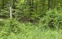 467 Roosevelt Avenue, Cairo, NY 12413