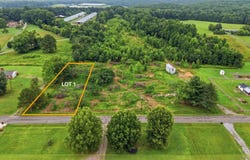 County Road 315, Bryant, AL 35958