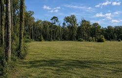8637 Wildwood Dr, Denham Springs, LA 70706