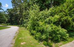 Westminster Avenue, Laurens, SC 29360