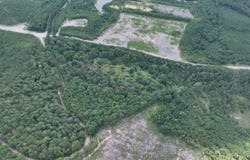 Brookwood Rd, Adger, AL 35444