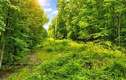 Highway 2 Parcel 1120913000, Cohutta, GA 30710