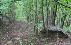 Cherry Hill Street, Mill Spring, NC 28756