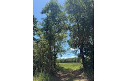 CR 1670, Mt Pleasant, TX 75455
