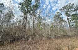 1718 Palmview Road, Cottondale, FL 32431