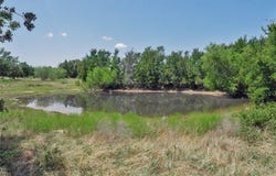 71.63 Acres Slusher Rd, Jacksboro, TX 76458