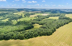 Ar 254 Highway, Leslie, AR 72645