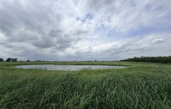192 Fm 1183, Alma, TX 75119