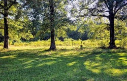 5780 Rodgers Rd E, Rison, AR 71665