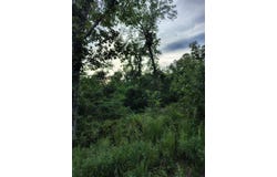 County Road 150, Preston, MO 65732