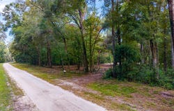 639 NE 298th Ave, Old Town, FL 32680