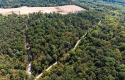17.33 AC SHALE PIT DRIVE, FALLING WATERS, WV 25419