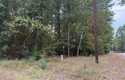 Quail Drive, Jefferson, TX 75657