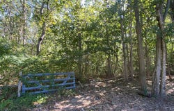 N Ocean Avenue, Patchogue, NY 11772