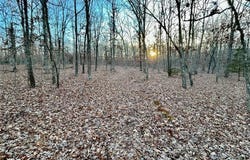 Tract 1 Highway CC, Salem, MO 65560