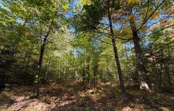 SUNSET LN lot: 1, Eagle River, WI 54521