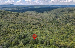 YOUGH VIEW Drive, OAKLAND, MD 21550