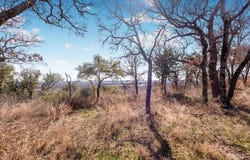 53 Ac Travis Drive, Mineral Wells, TX 76067