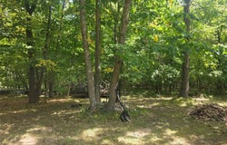 26950 Okerlund Road, Webster, WI 54893