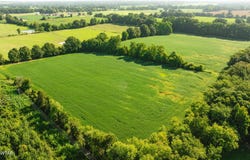 Highway 189, Maury City, TN 38050
