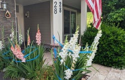 28 Westfield Way, Candler, NC 28715
