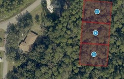 PINE MEADOWS RD, EUSTIS, FL 32736