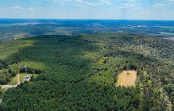 Cedar Grove Road, Salem, KY 42078