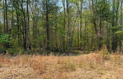 Ironsburg Road, Tellico Plains, TN 37385
