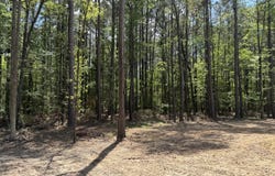 115 Ash Hill Drive, Eutawville, SC 29048