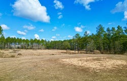 35 Thompson Lane, Carriere, MS 39426
