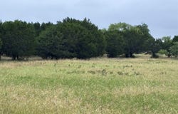 929 CR 2357, Meridian, TX 76665