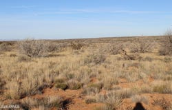 CCR Unit 2 lot: 224, Heber, AZ 85928
