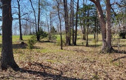 Emerald Hills Drive, Edwards, MO 65326