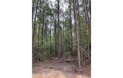 Hwy 49, Brooklyn, MS 39425