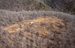 Bear Skin Drive, Harriet, AR 72650