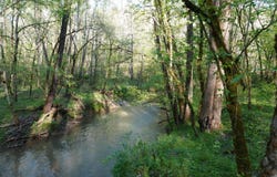 Golf Course Road lot: 1-2, Newport, TN 37821