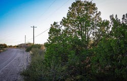 1086 Juniper, Alpine, TX 79830