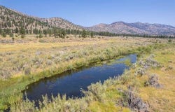 414-000 Scott Road, Doyle, CA 96109