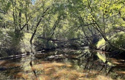 -- Ironweed Road, Edgefield, SC 29824