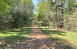 9296 Cr302, Plantersville, TX 77363