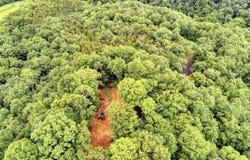 Scott Finley Road, Burkesville, KY 42141