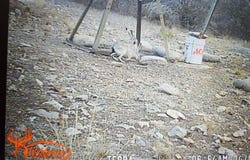 SD 45455, Rocksprings, TX 78880